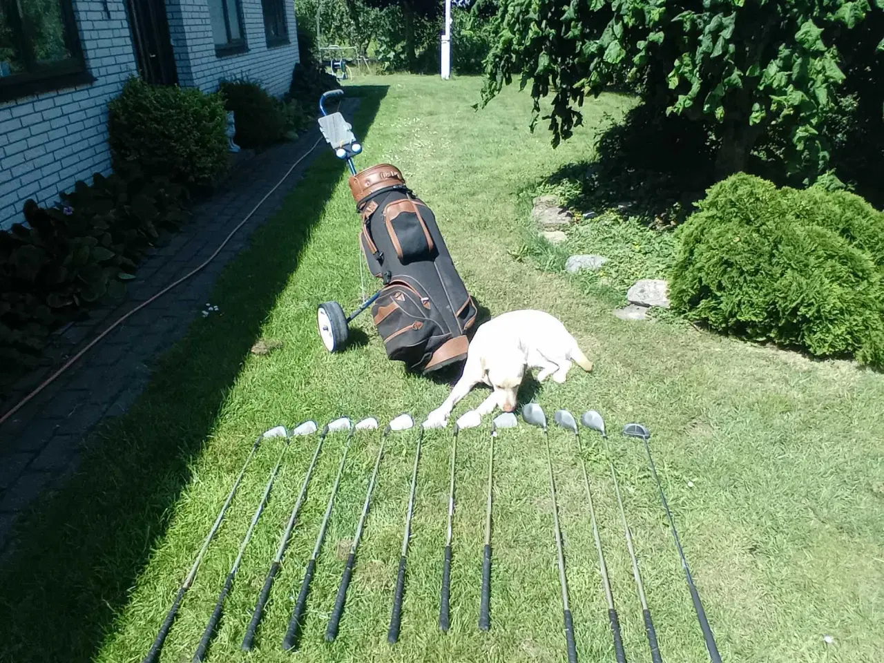 Billede 1 - Golfkøller og vogn