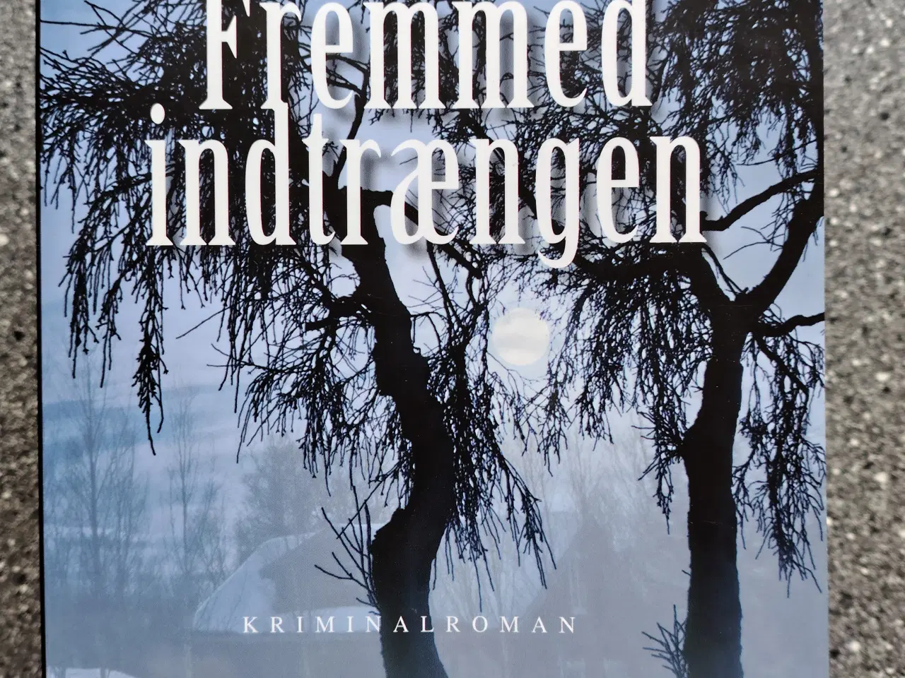 Billede 5 - Inger Gammelgaard Madsen Bøger