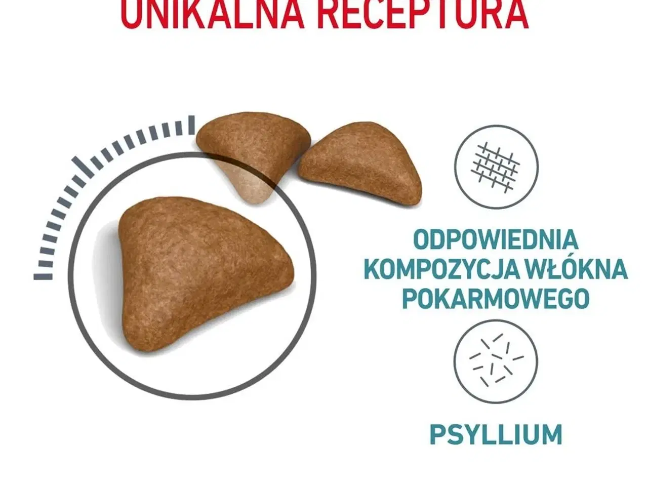 Billede 5 - Kattemad tørfoder Royal Canin Hairball Care 10 kg – voksen kat