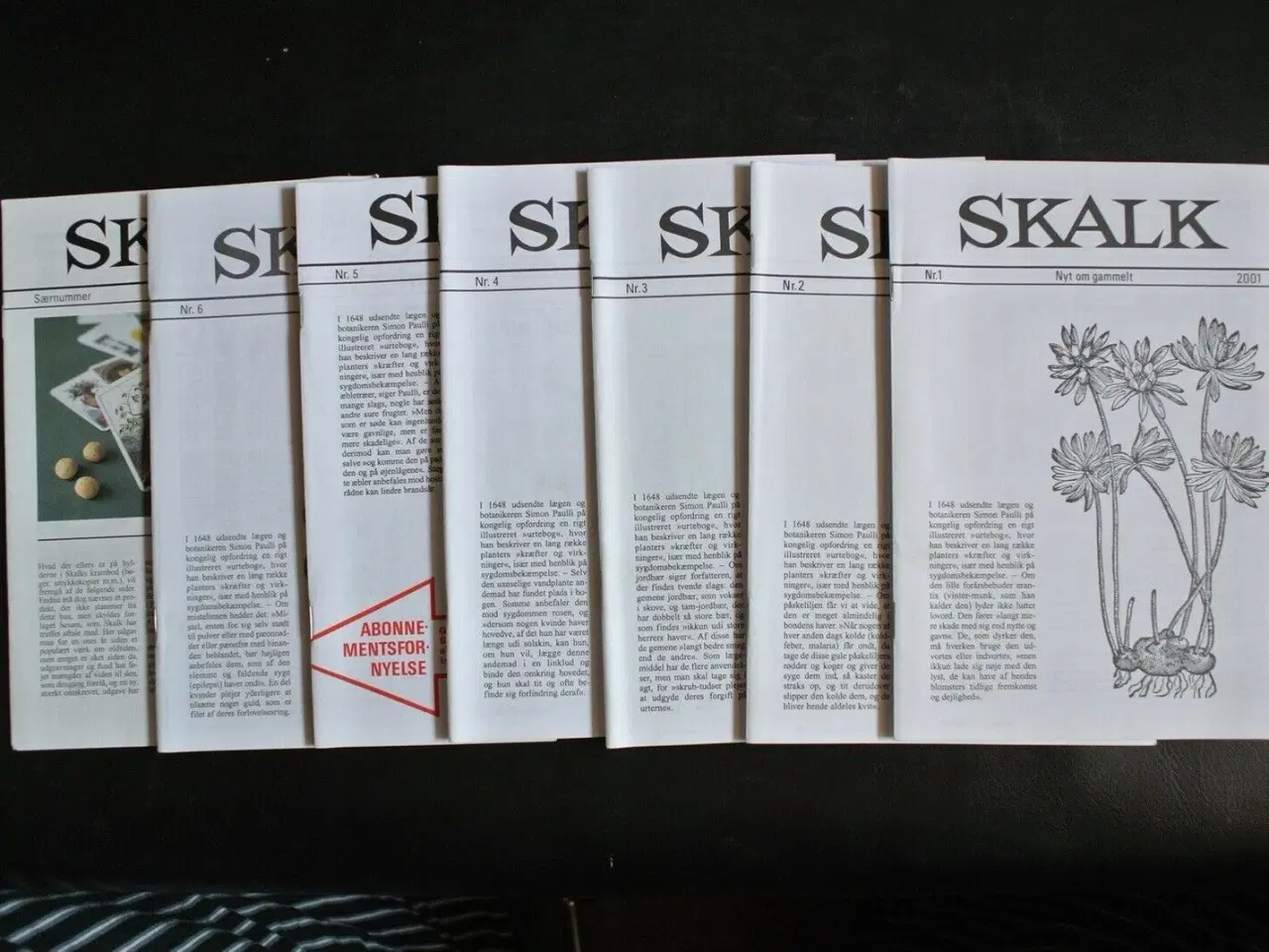 Billede 1 - skalk nr. 1-6 + særnummer 2001 , emne: historie og