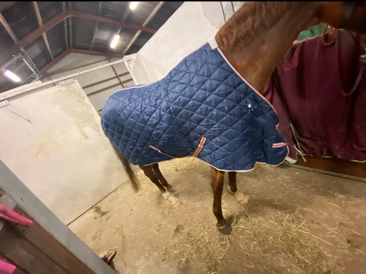 Billede 3 - Stald dækken str 145 100g