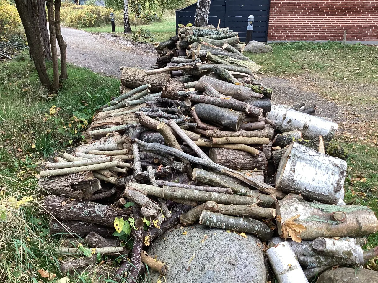 Billede 9 - Firewood