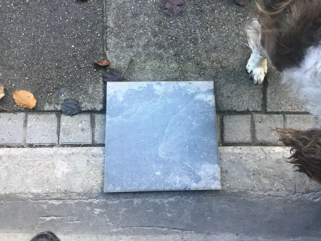 Billede 1 - Klinker 33,3x33,3 gratis