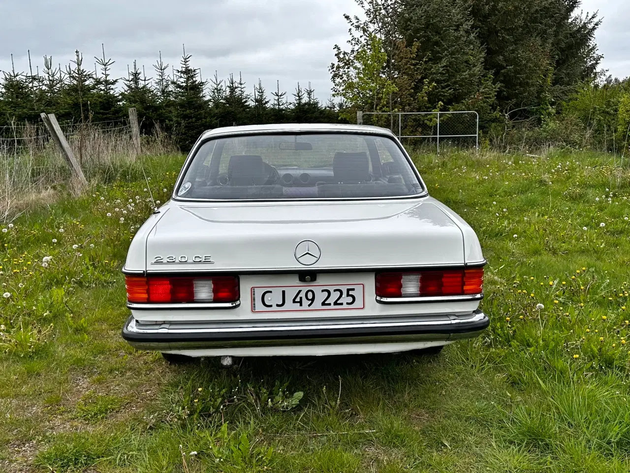 Billede 7 -  1980 Mercedes Daimler 230 CE 1980 KUN 180.000 KM 