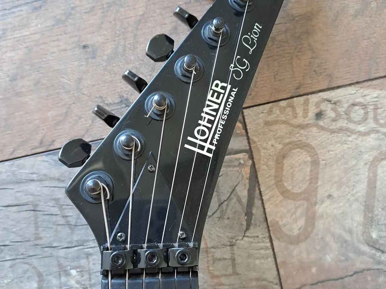 Billede 6 - Hohner Professional SG Lion