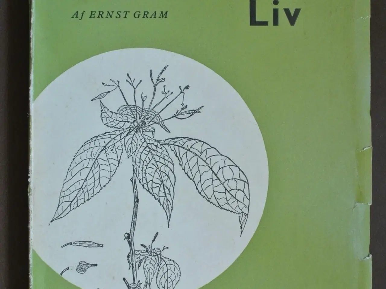 Billede 1 - planternes liv, af ernst gram
