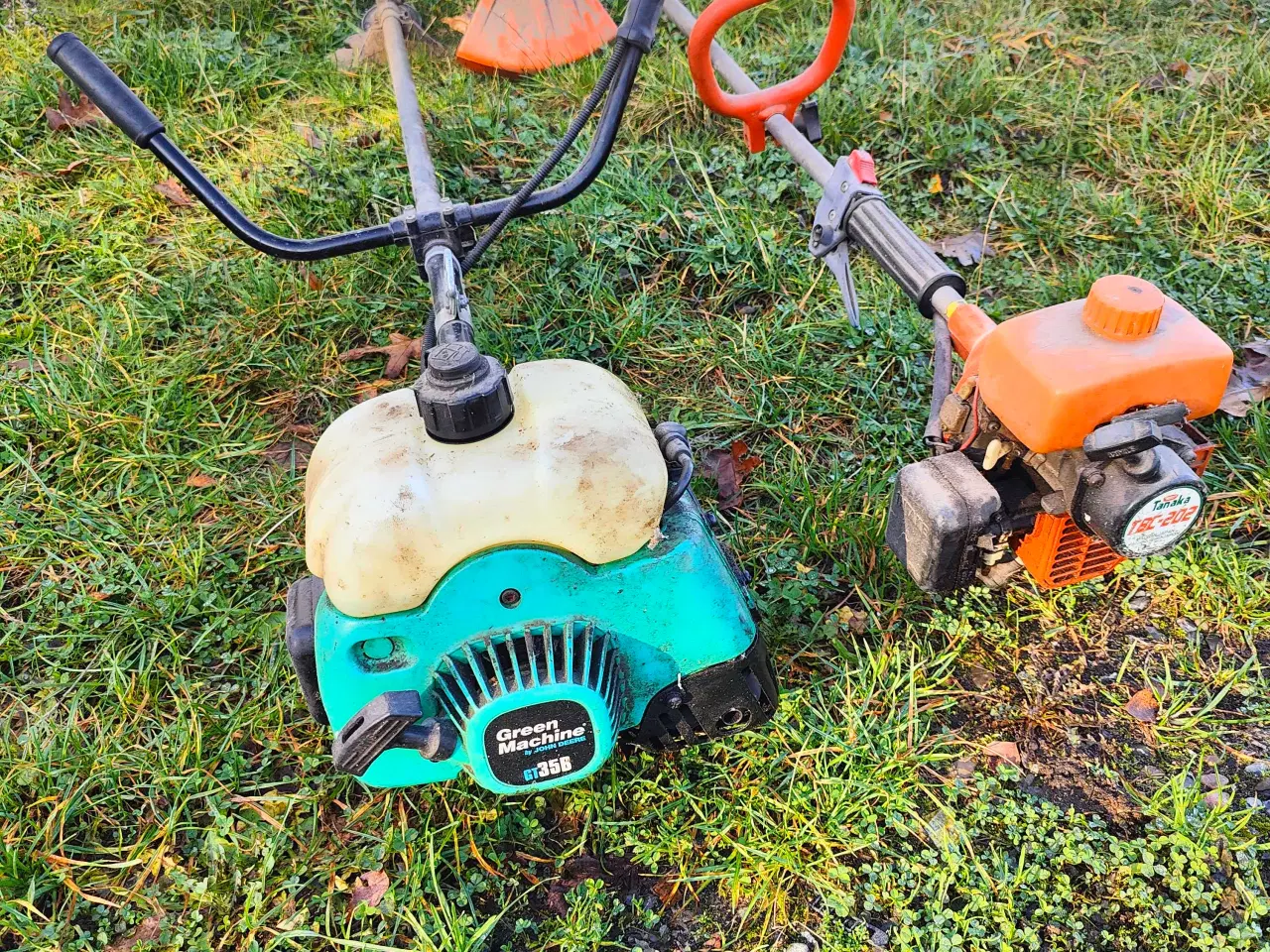 Billede 1 - Buskrydder