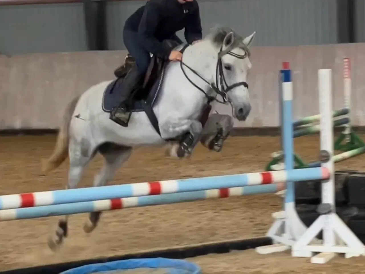 Billede 1 - Fin og sød pony