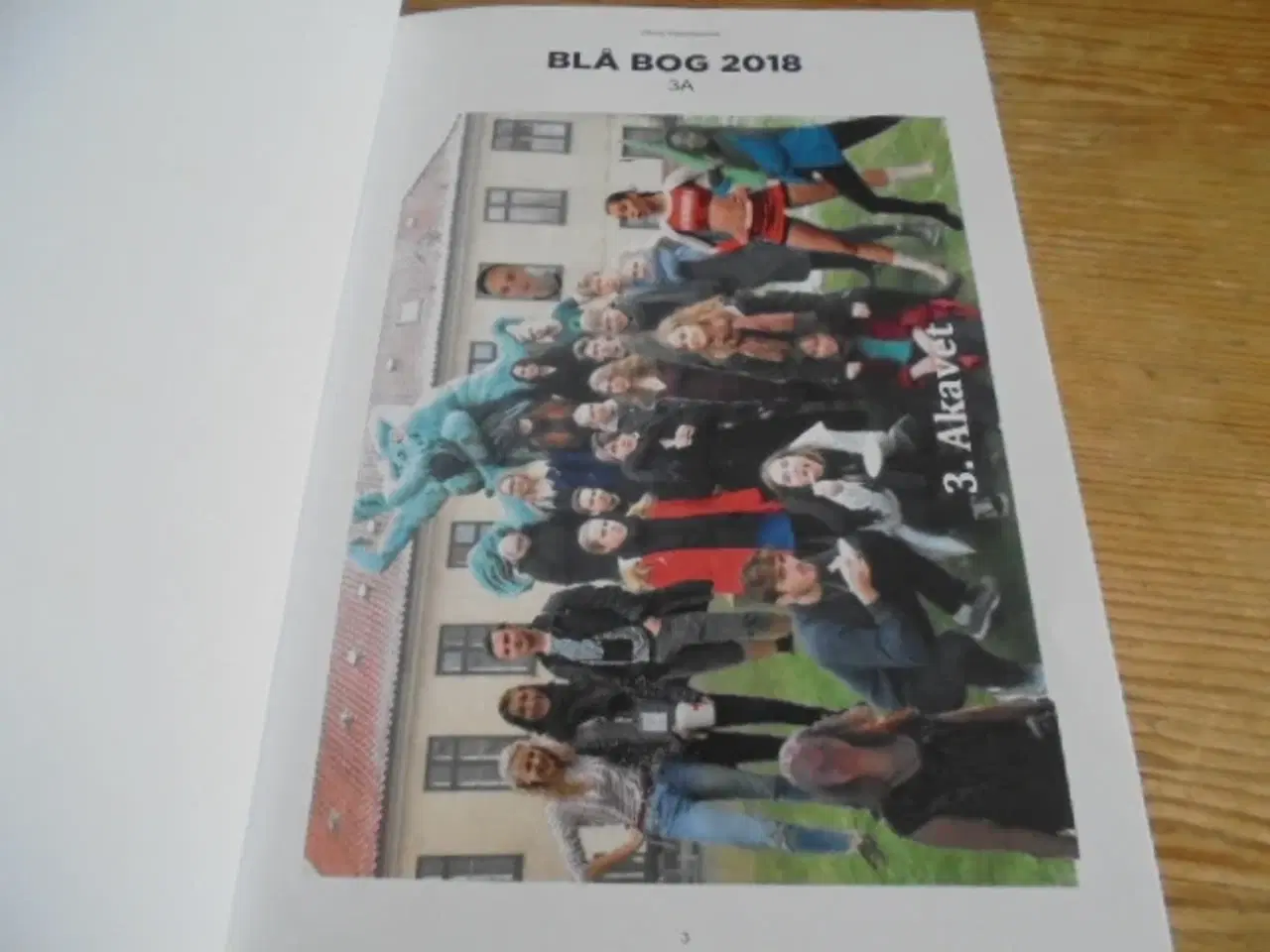 Billede 3 - Viborg Katedralskole – Blå bog 2018  