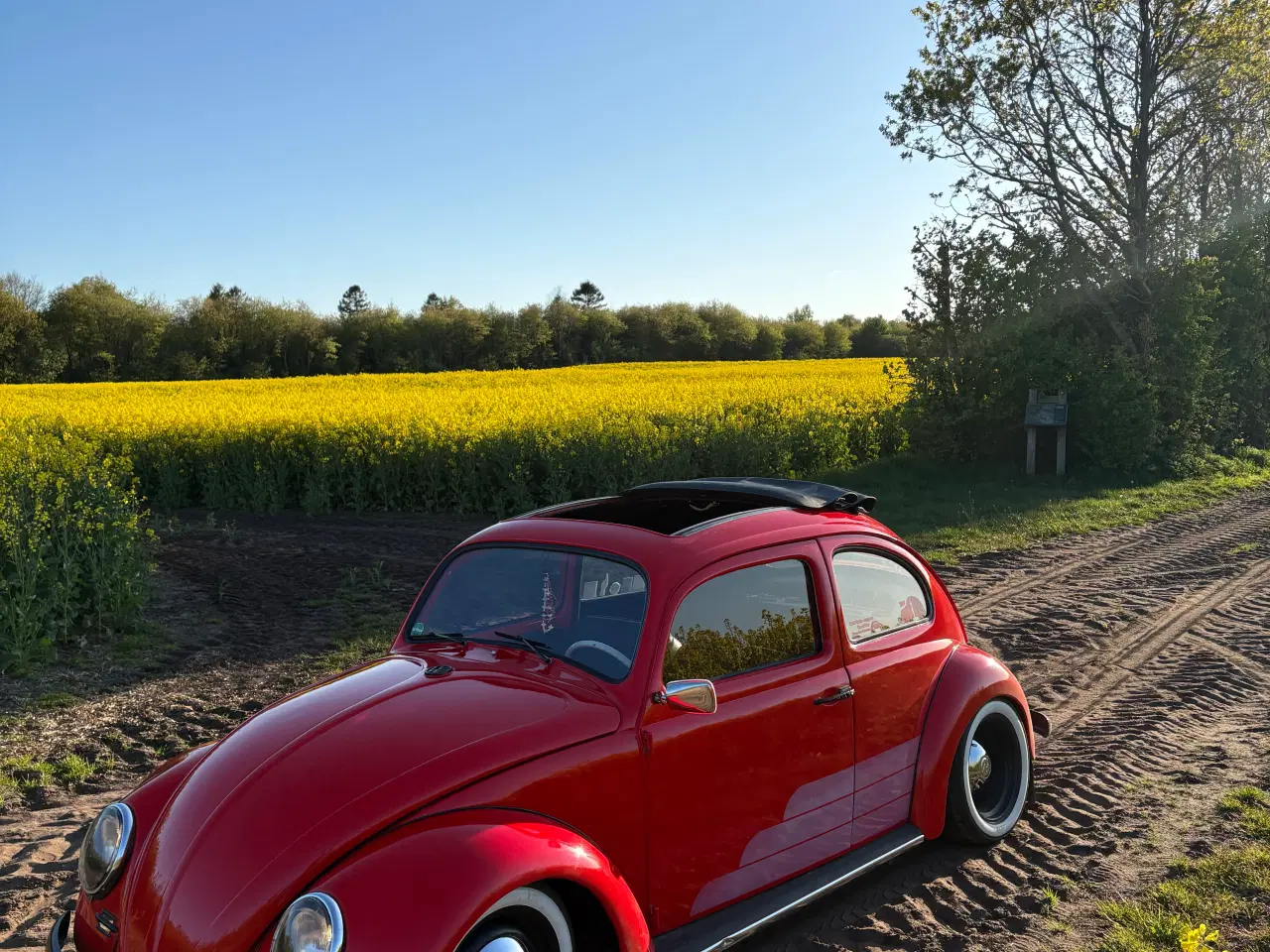 Billede 1 - Vw bobbel type 117