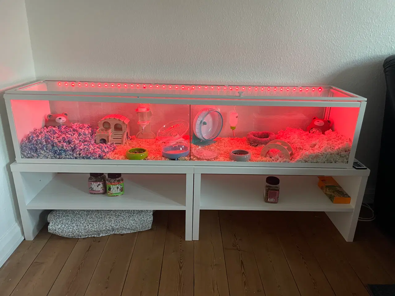 Billede 2 - To hamster med bur til tilbehør ( ikke søskende) 