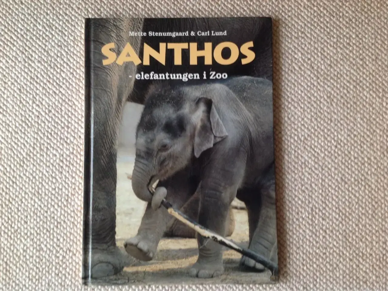 Billede 1 - Santhos - elefantungen i Zoo