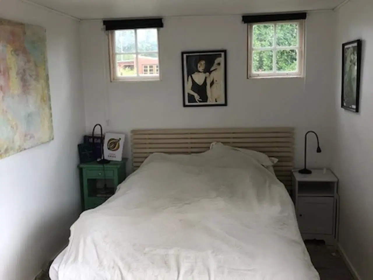 Billede 4 - Kolonihave i Odense C