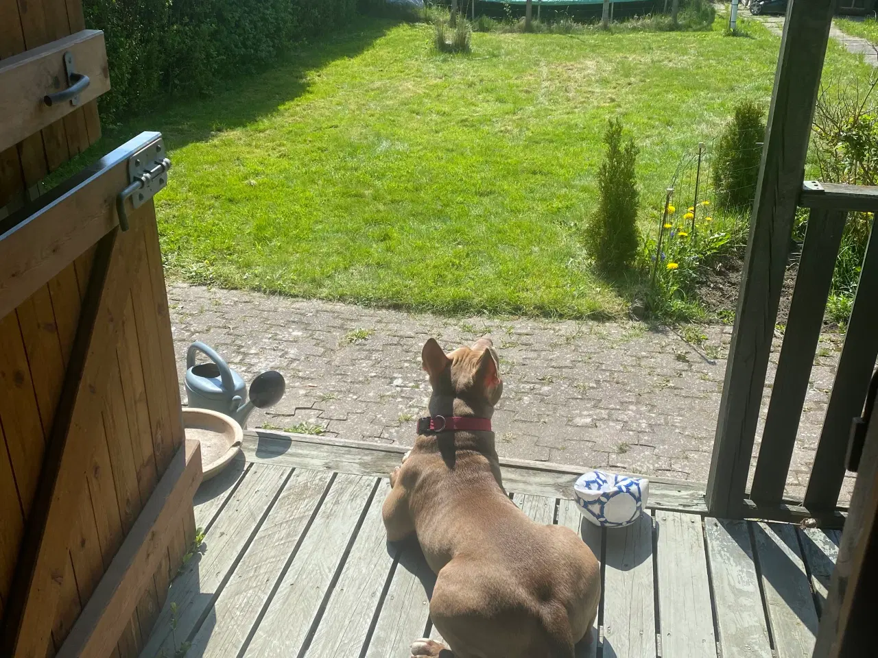 Billede 18 - Kolonihave til salg