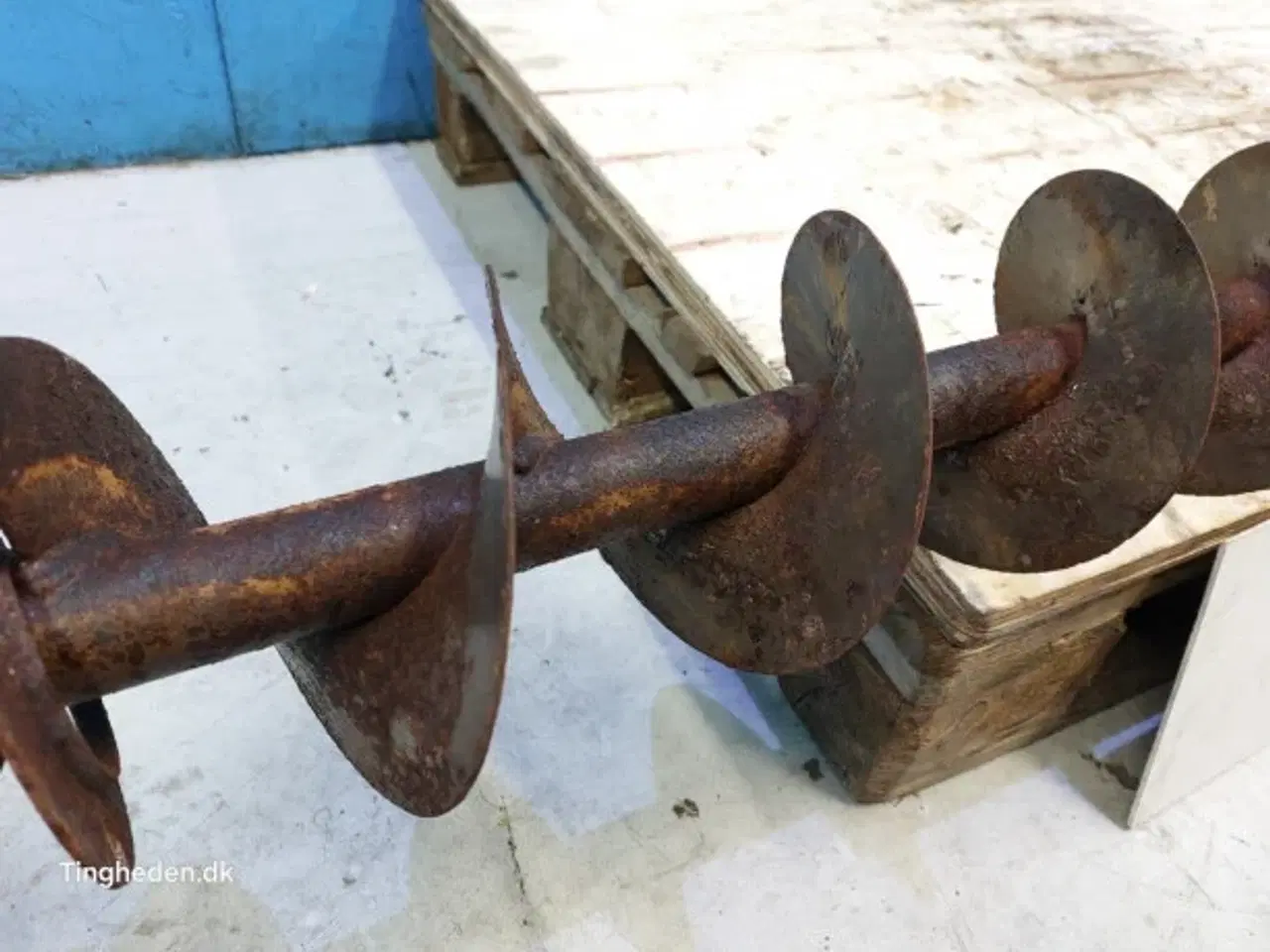 Billede 10 - Massey Ferguson 31 Fyldesnegl 28550083