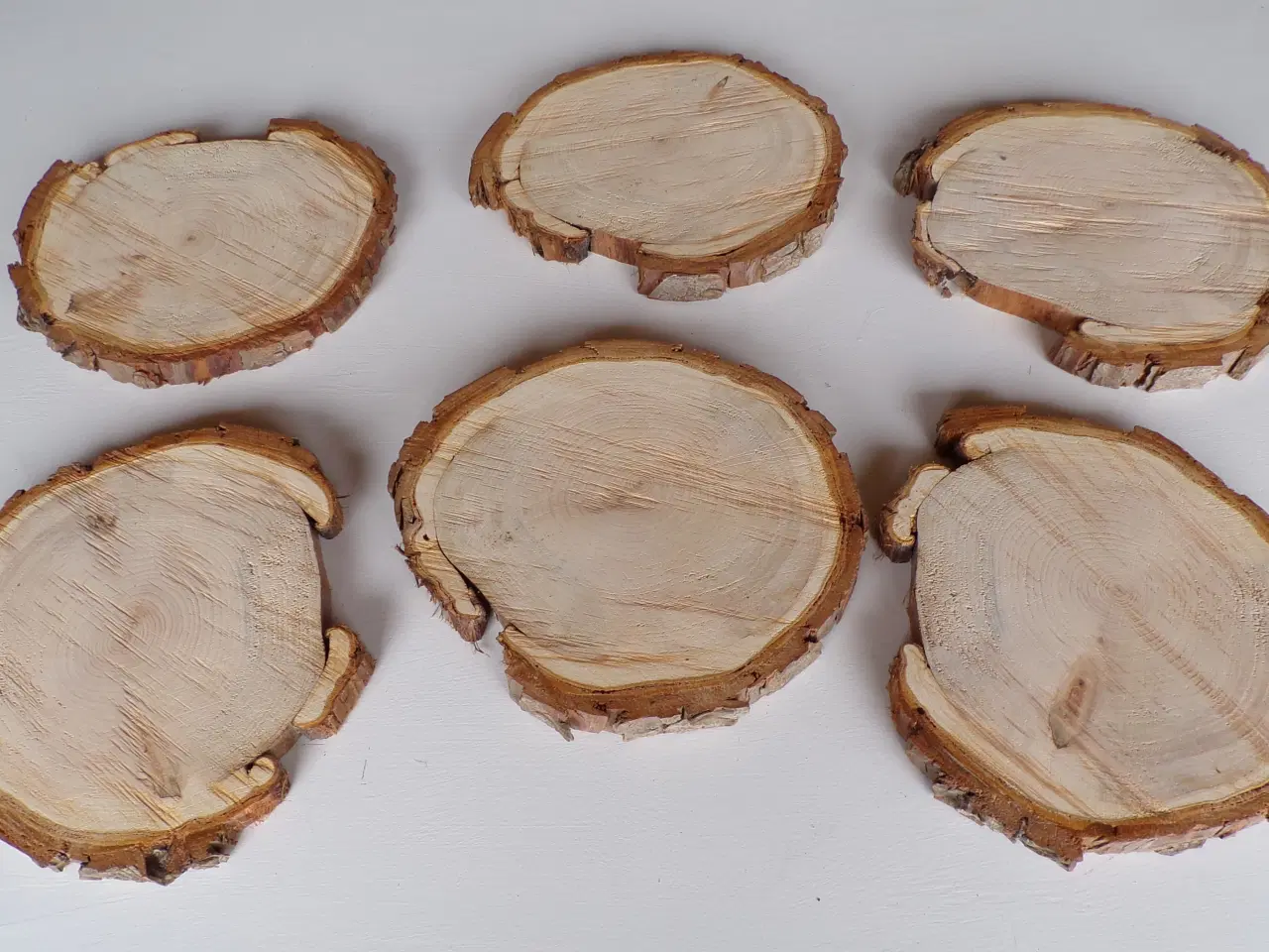 Billede 1 - NYE Træskiver Thuja 22-23 cm 
