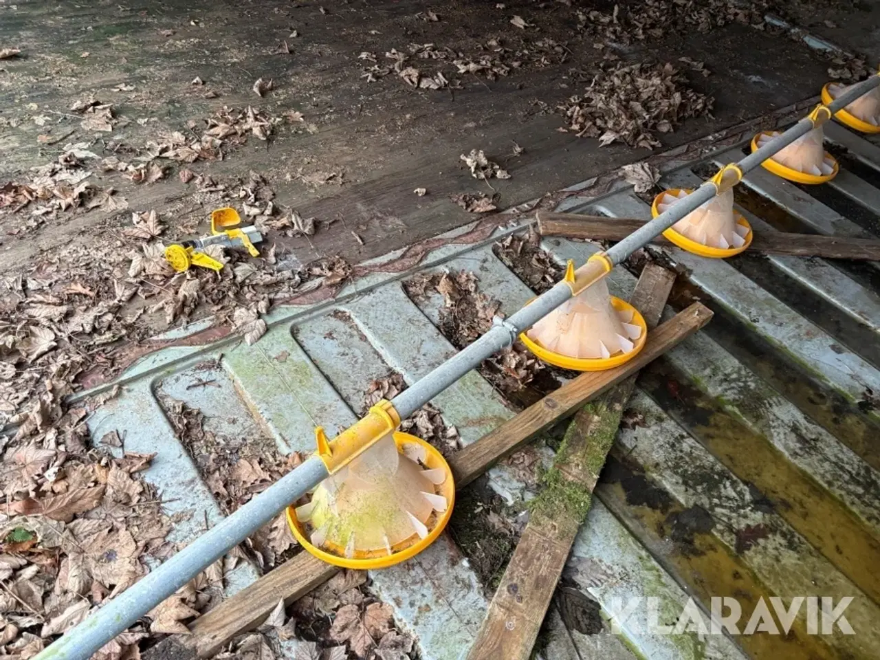 Billede 9 - Fodersystem Landmeco til høns