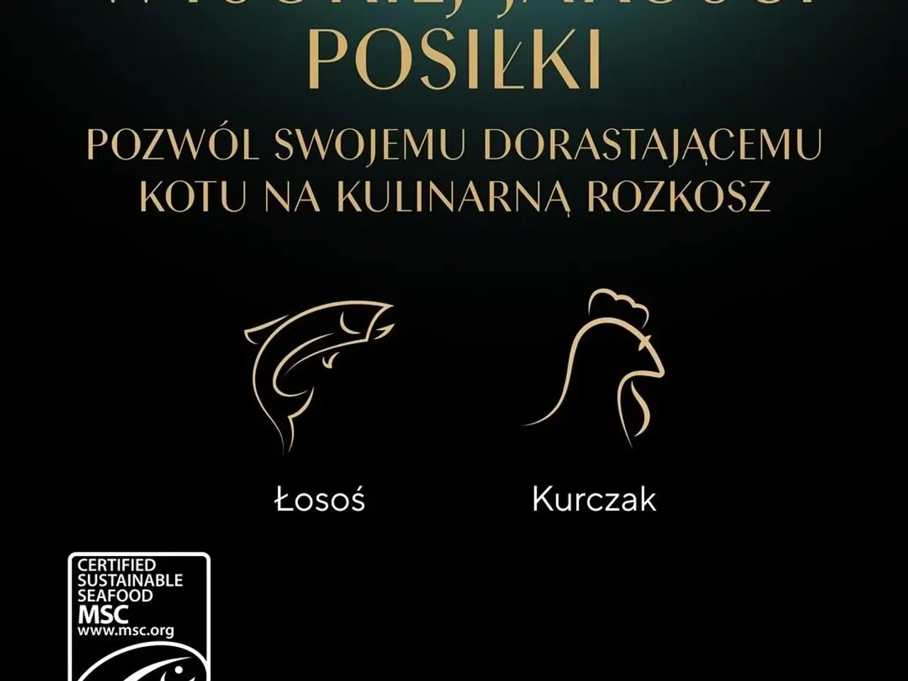 Billede 12 - Vådfoder til kattekillinger Sheba – udvalg i sauce, 40×85 g
