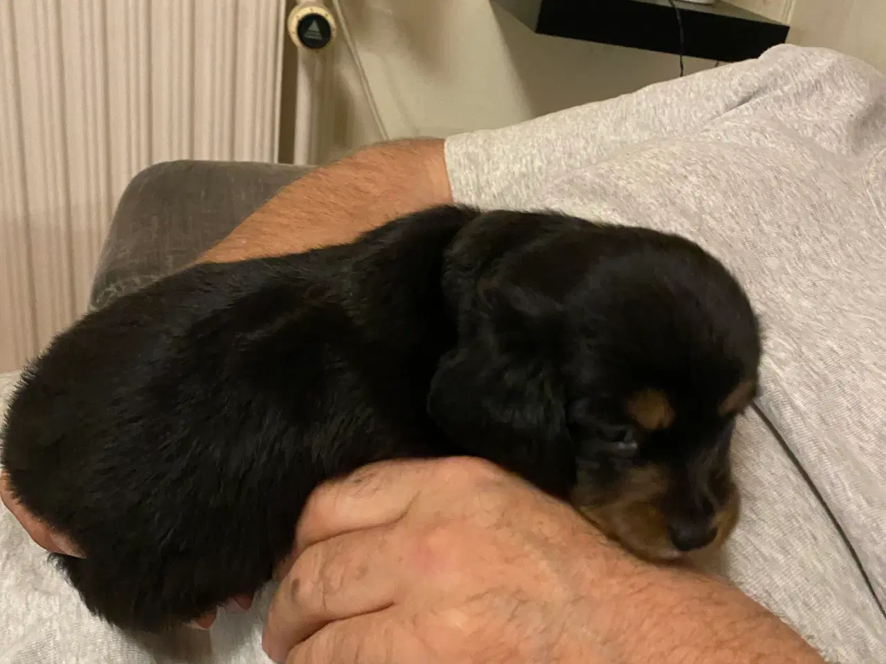 Billede 8 - 1 lille dreng tilbage 