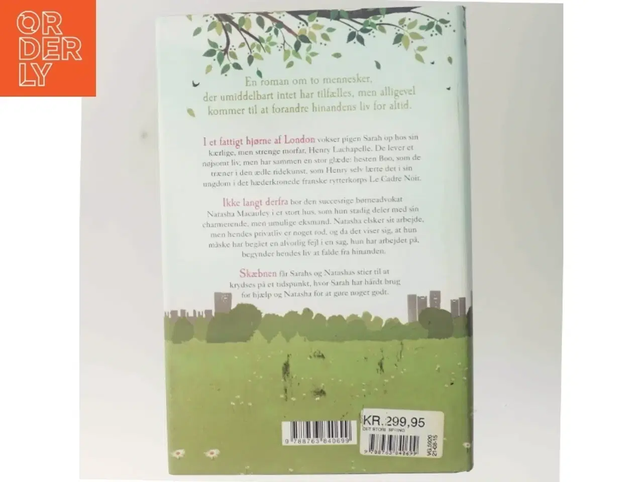 Billede 3 - Det store spring af Jojo Moyes (Bog)