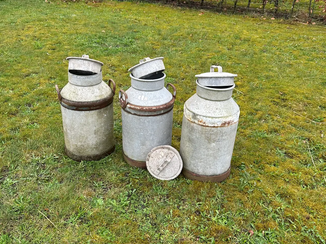 Billede 2 - Mælkejunger med låg 