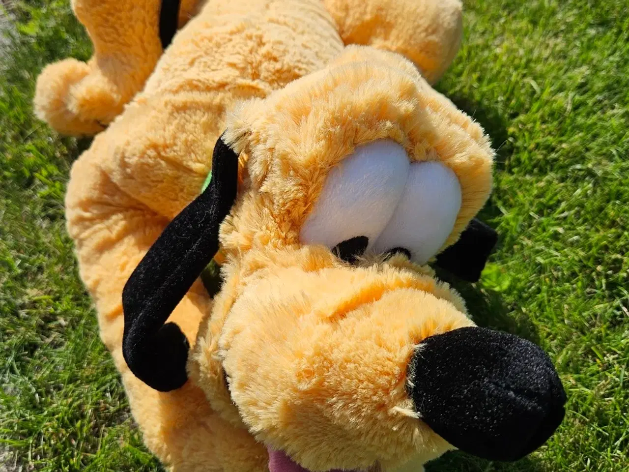 Billede 6 - Disney Pluto bamse