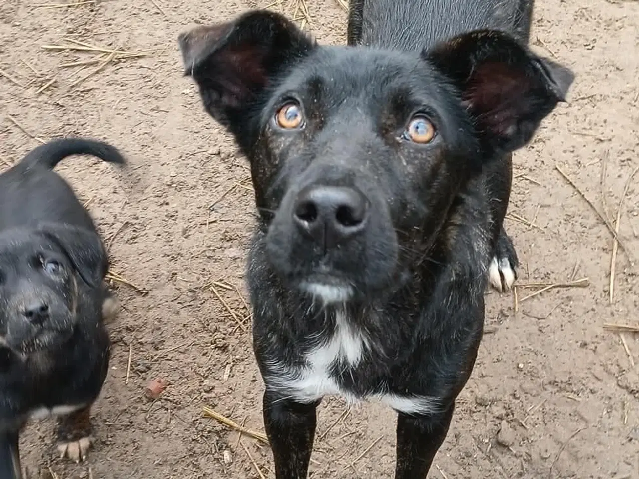 Billede 6 - Grace leder efter sin egen familie 🩷