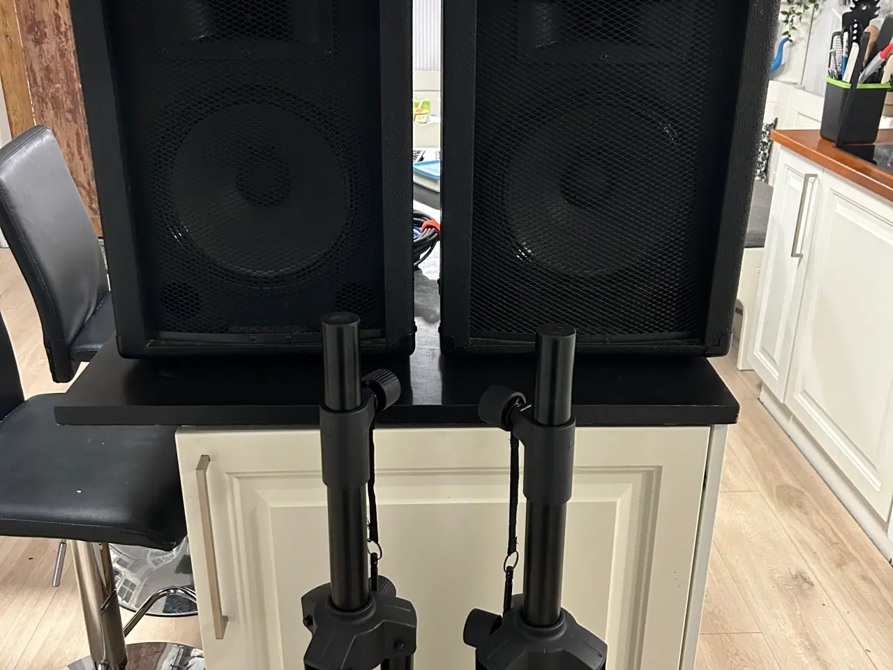 Billede 1 - Højtaler PA.  Begynder sæt 