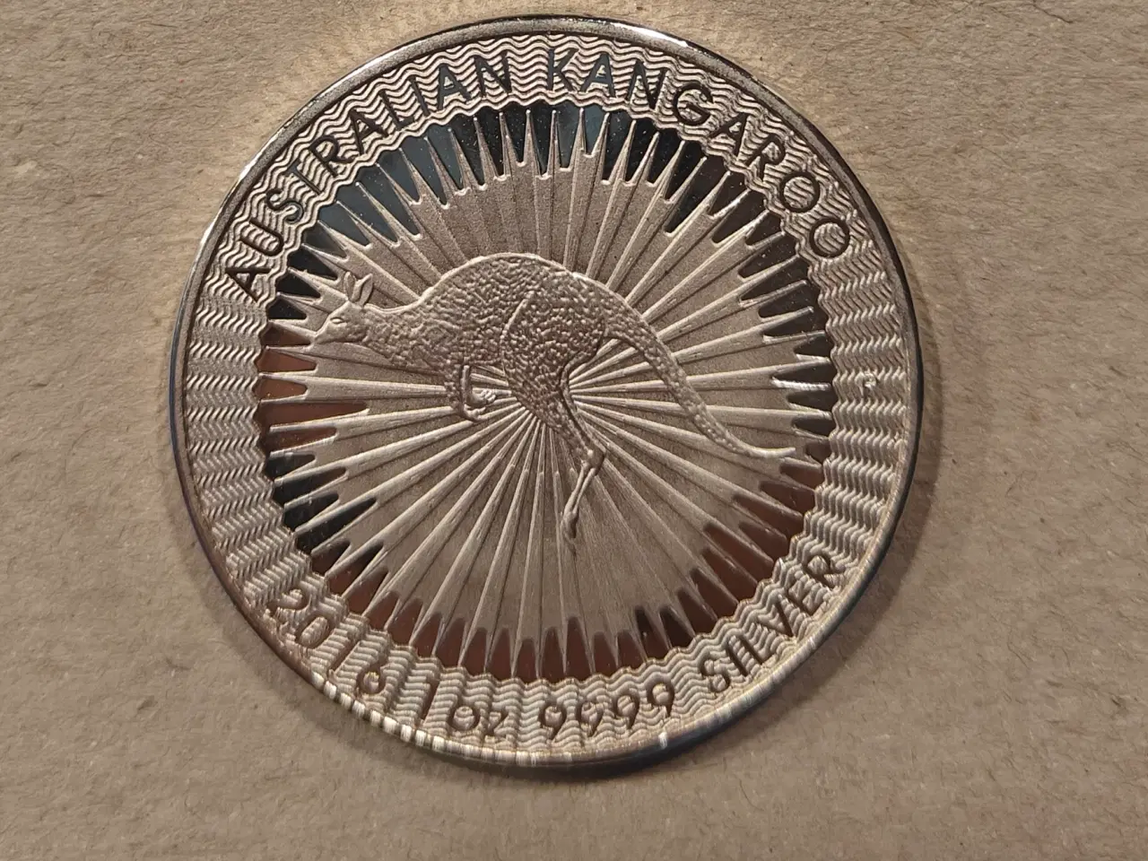 Billede 1 - 2 stk. Australian Kangaroo