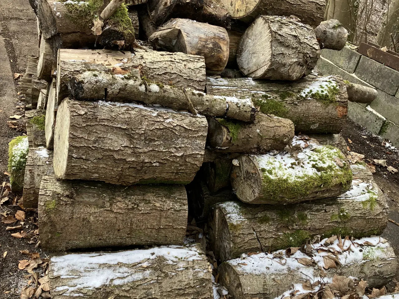 Billede 4 - Blandet løvtræ til brænde - ca. 2 rummeter