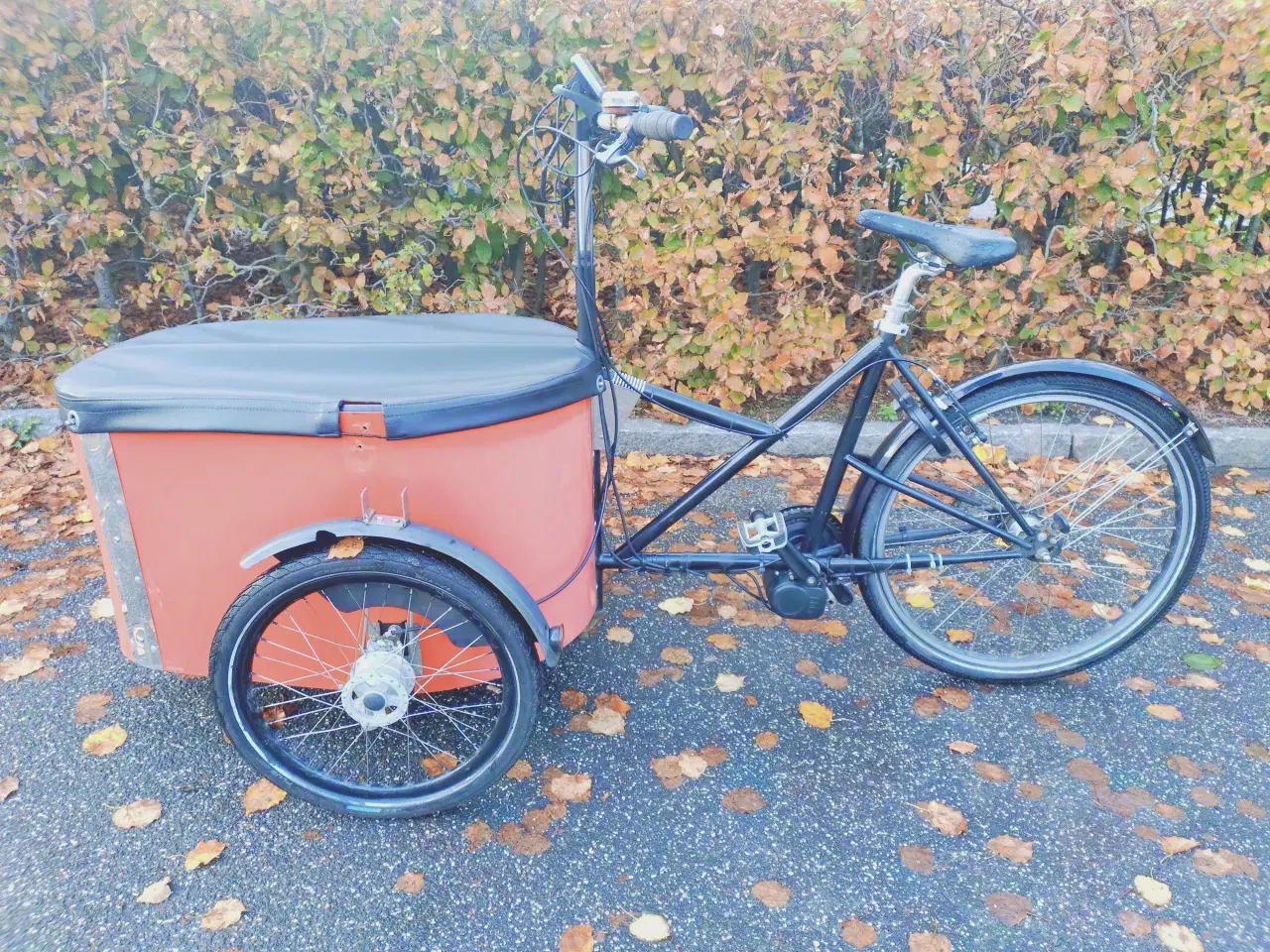 Billede 3 - Nihola Family med el - defekt