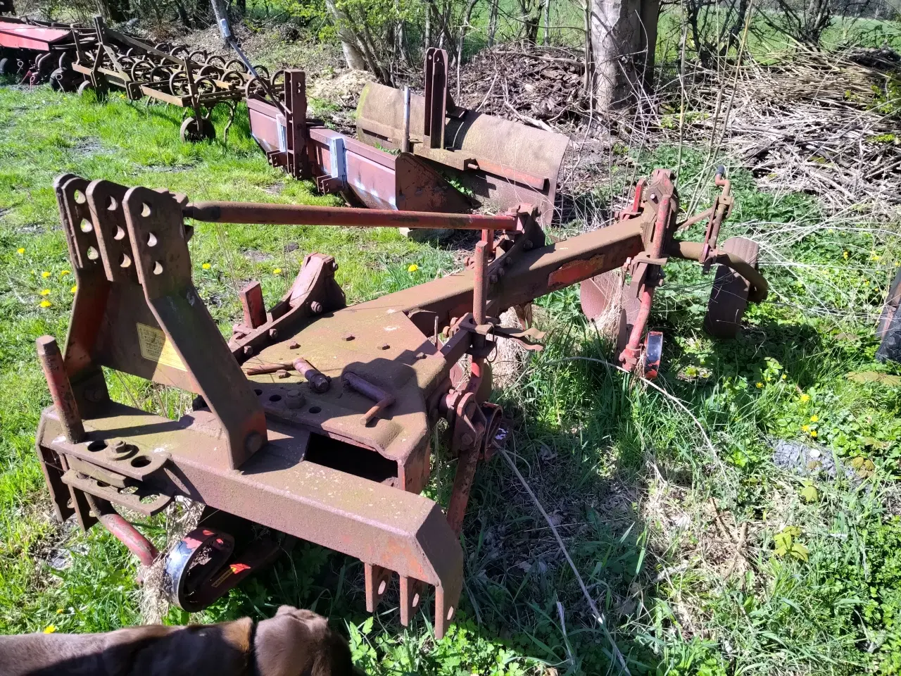 Billede 1 - Skjold Markant 14" 3 furet 