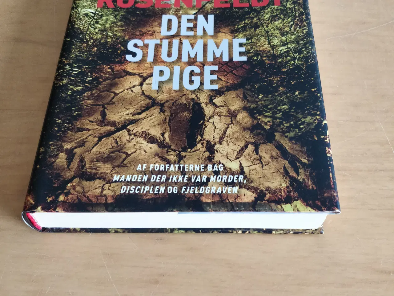 Billede 2 - Den stumme pige. Hjorth Rosenfeldt