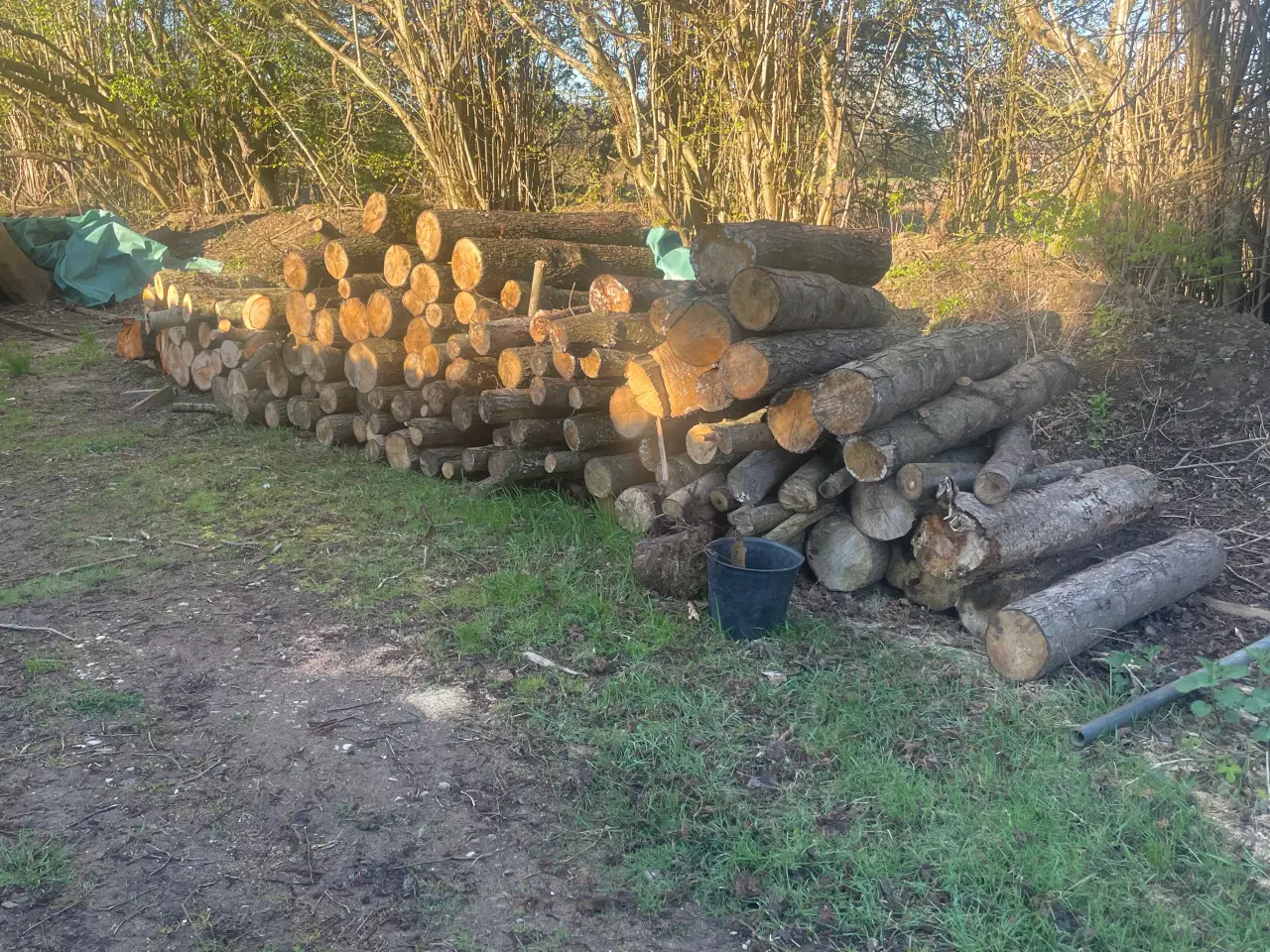 Billede 1 - Brænde sælges