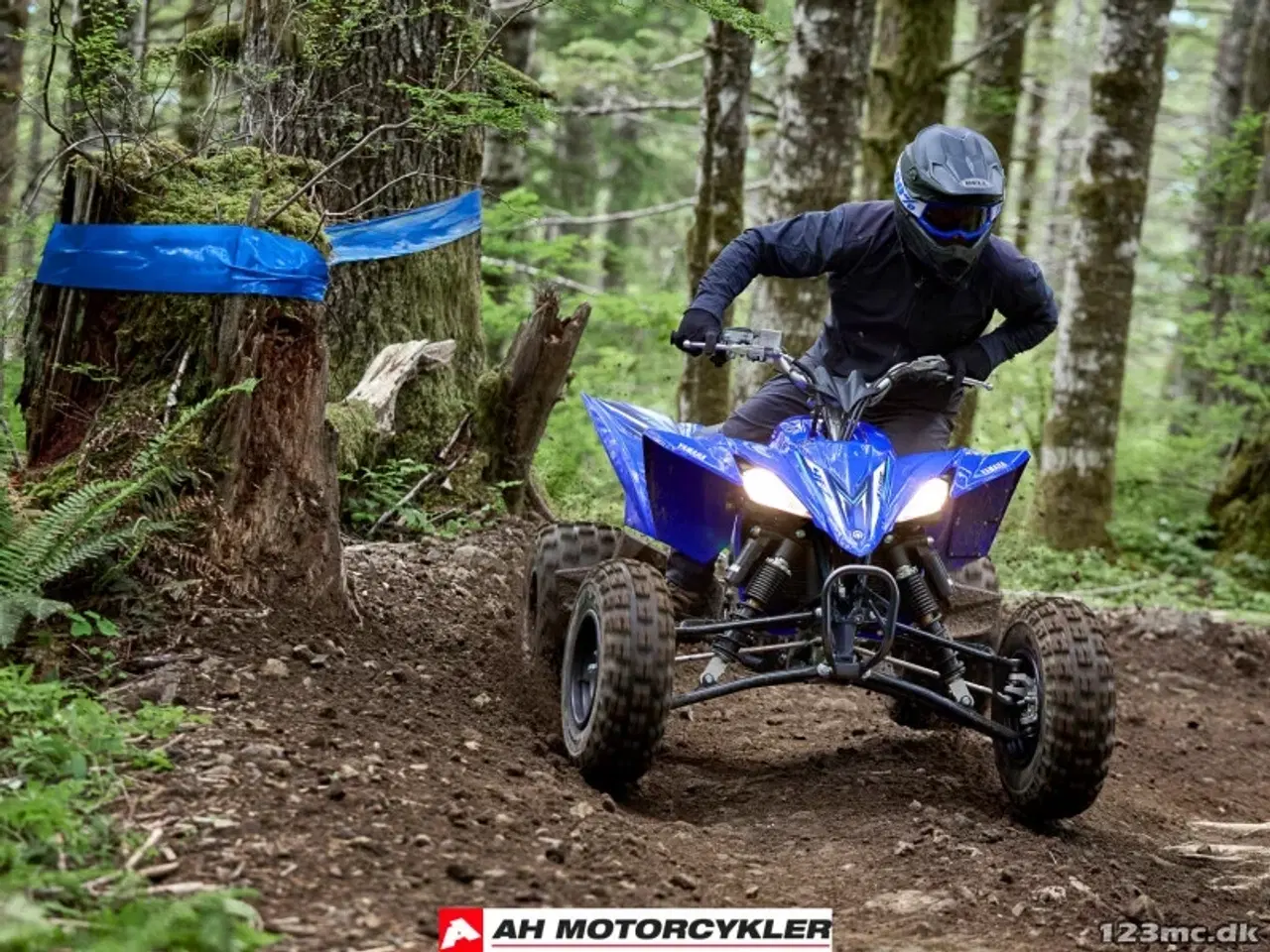 Billede 7 - Yamaha YFZ 450 R