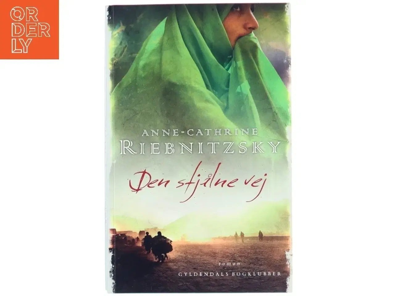 Billede 1 - Den stjålne vej af Anne-Cathrine Riebnitzsky (Bog)