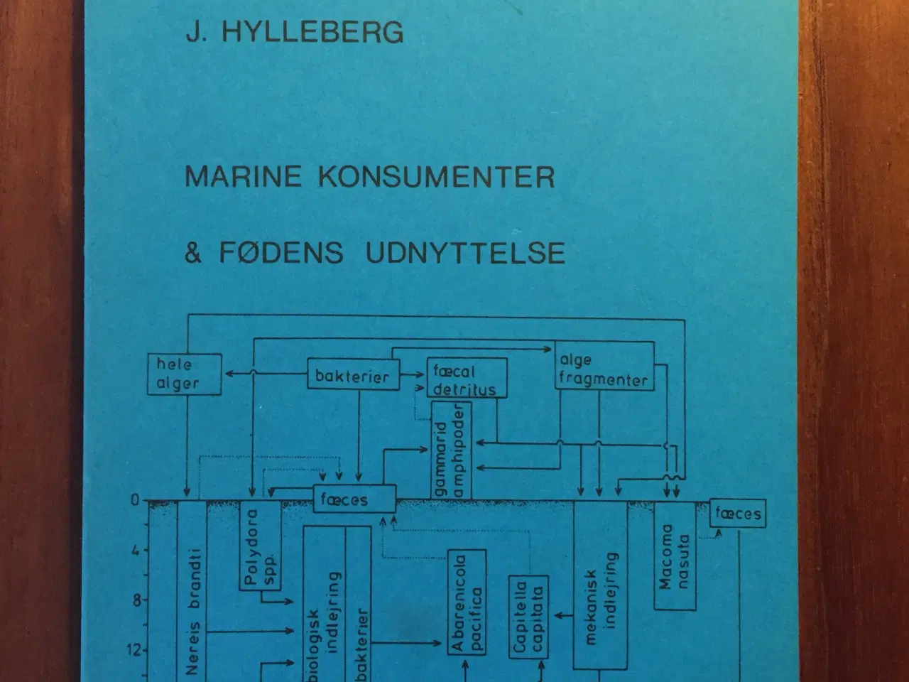 Billede 1 - Marine konsumenter og fødens udnyttelse