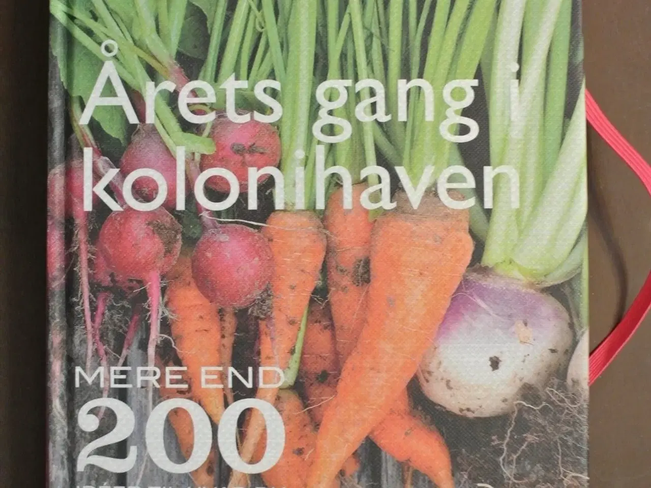 Billede 1 - årets gang i kolonihaven, af matthew appleby,