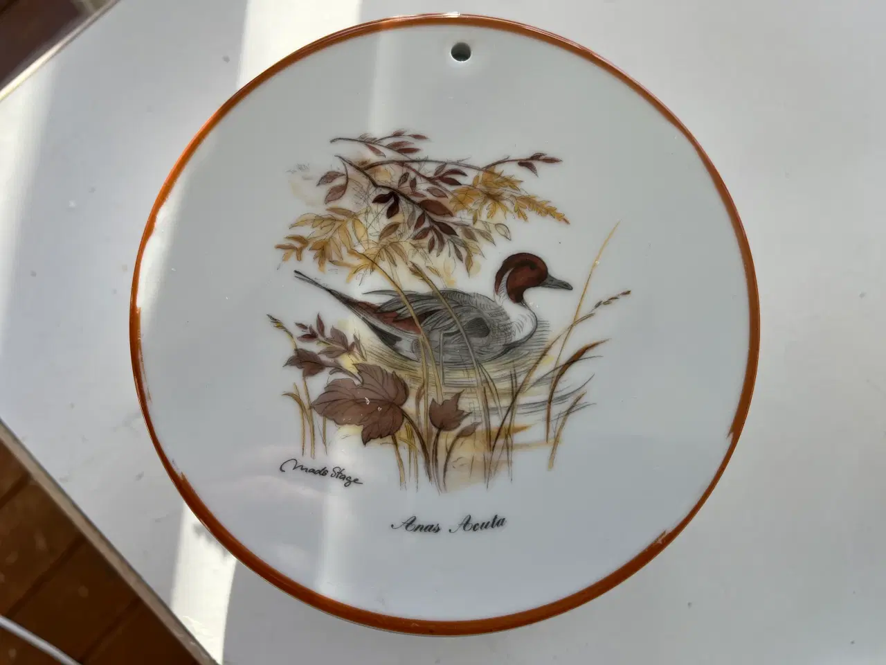 Billede 3 - Mads Stage 