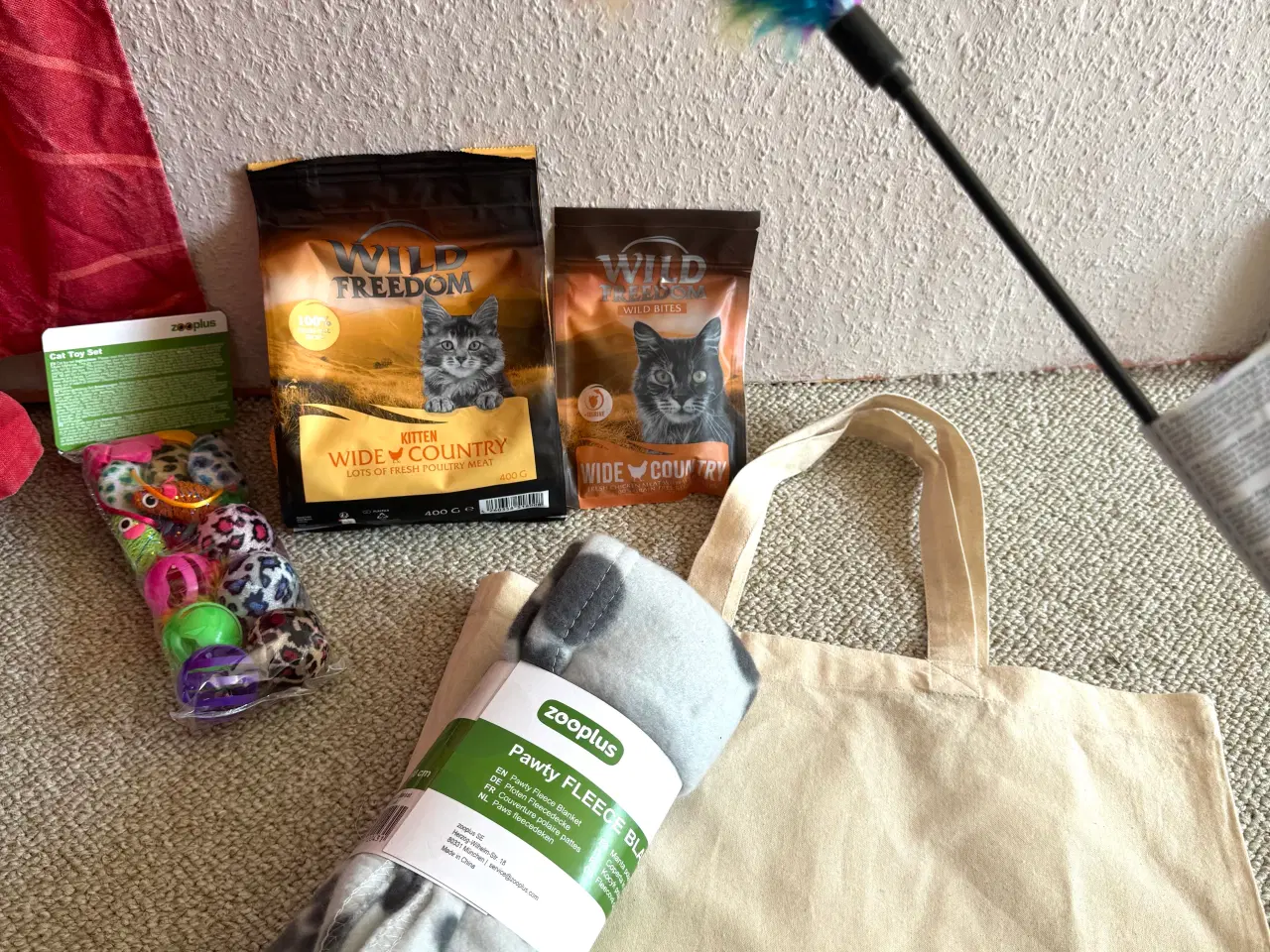 Billede 12 - Maine Coon blandings hunkilling