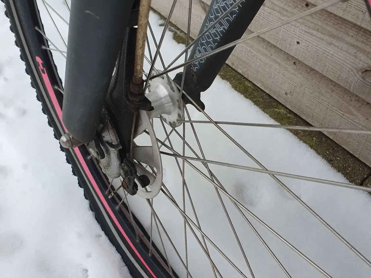 Billede 7 - Gratis: Centurion Dark Image