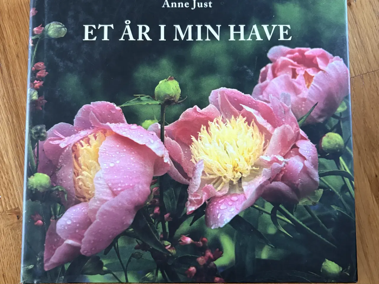 Billede 1 - Et år i min have