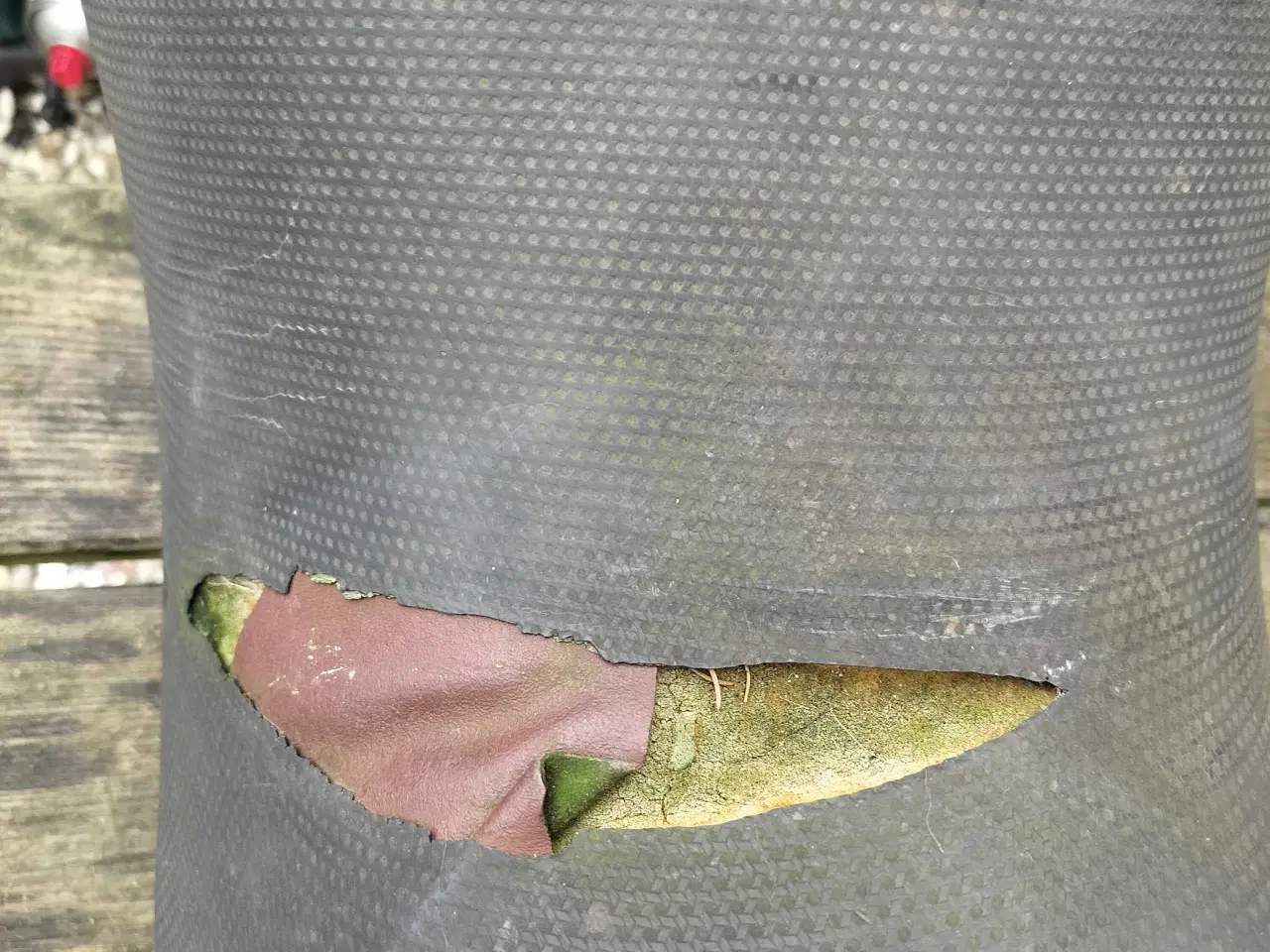 Billede 6 - Diverse dele Suzuki Gsxf