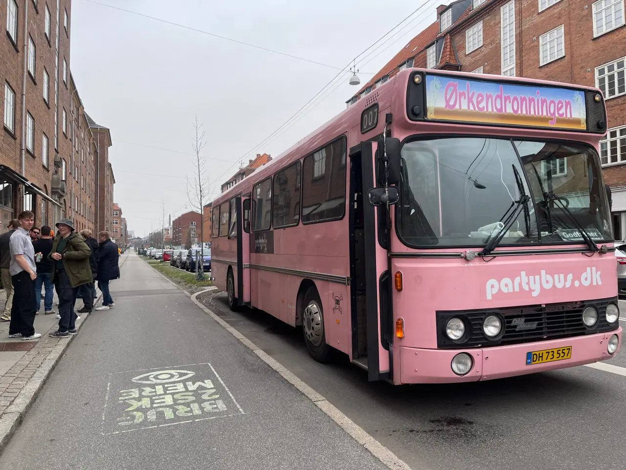 Billede 6 - DAB Silkeborg bus pink partybus fx