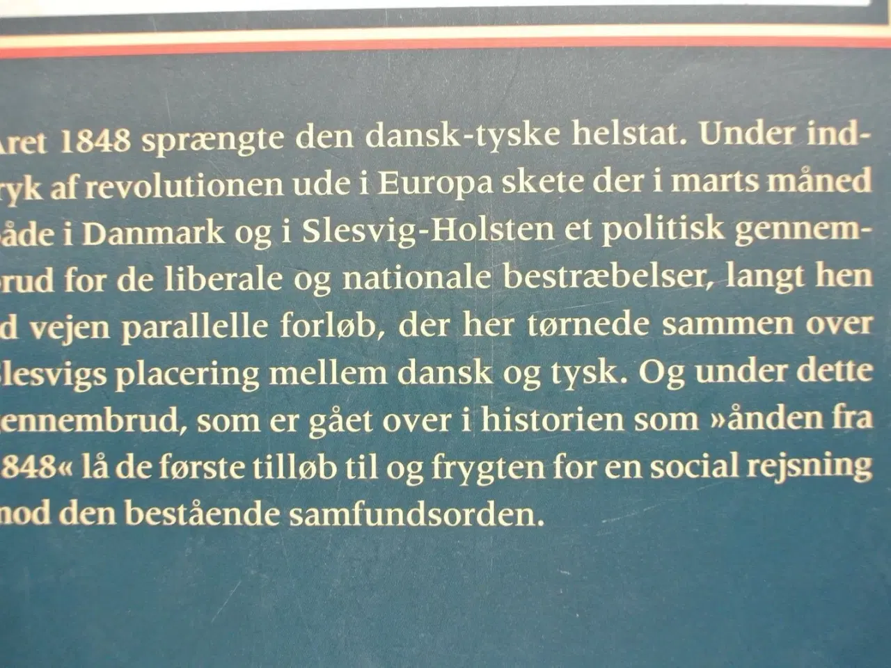 Billede 4 - 1848 borgerkrig og revolution, af claus bjørn, emn
