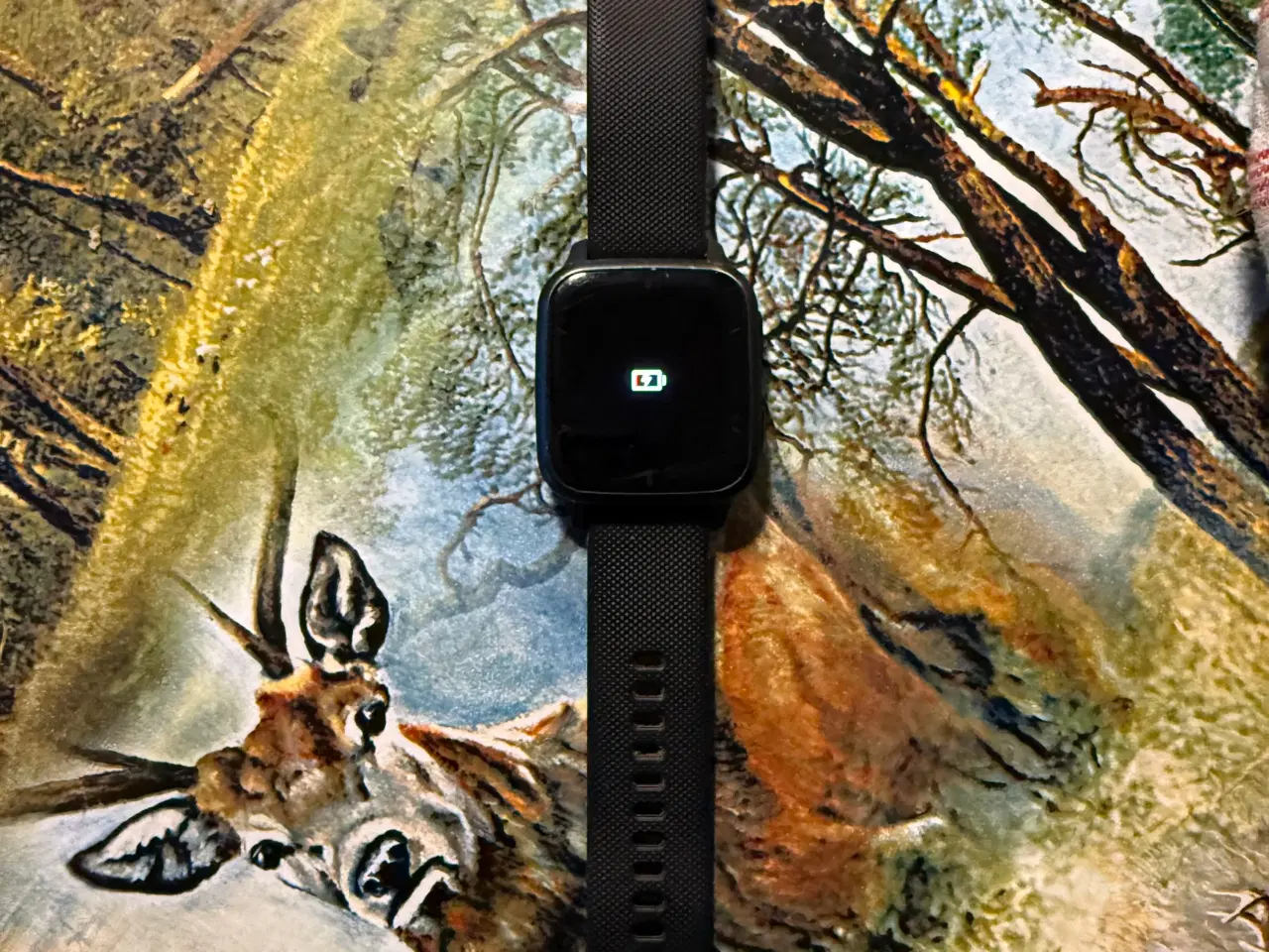 Billede 1 - Garmin Venu Sq 2 music, sort