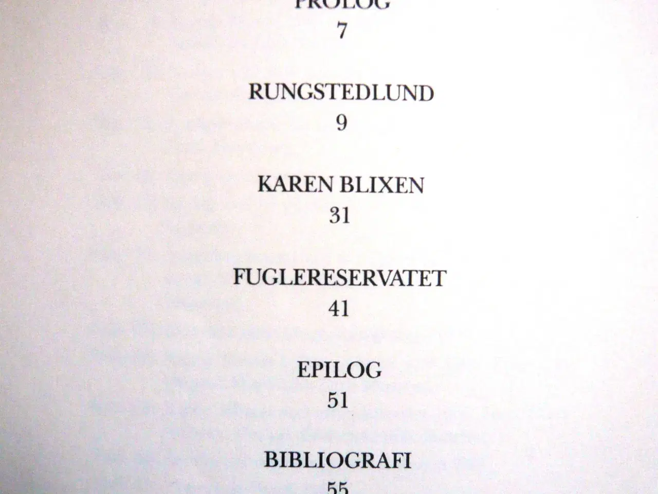 Billede 2 - Karen Blixen og Rungstedlund (B3)