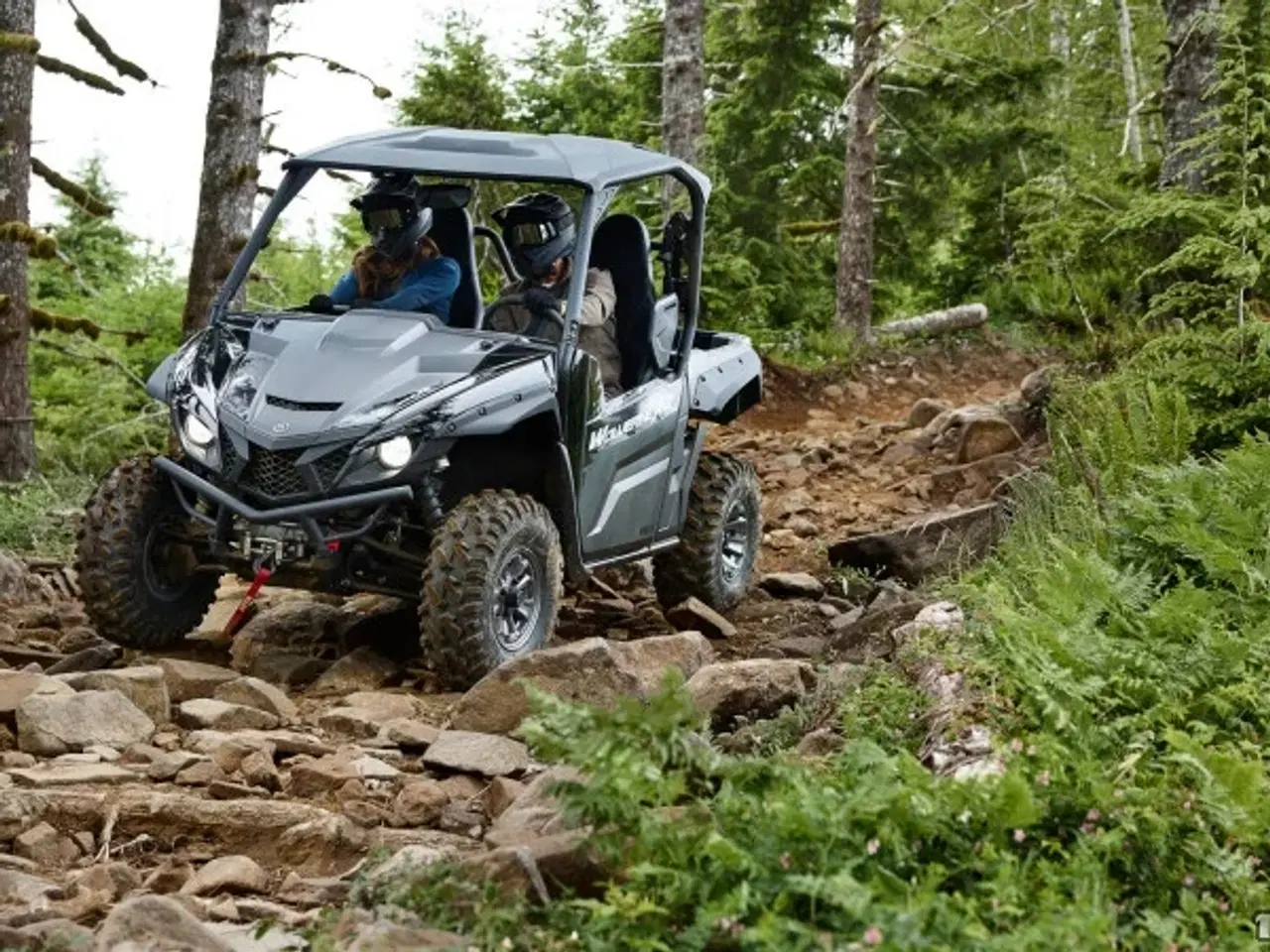 Billede 2 - Yamaha YXE 850 EN TA Wolverine X2 SE