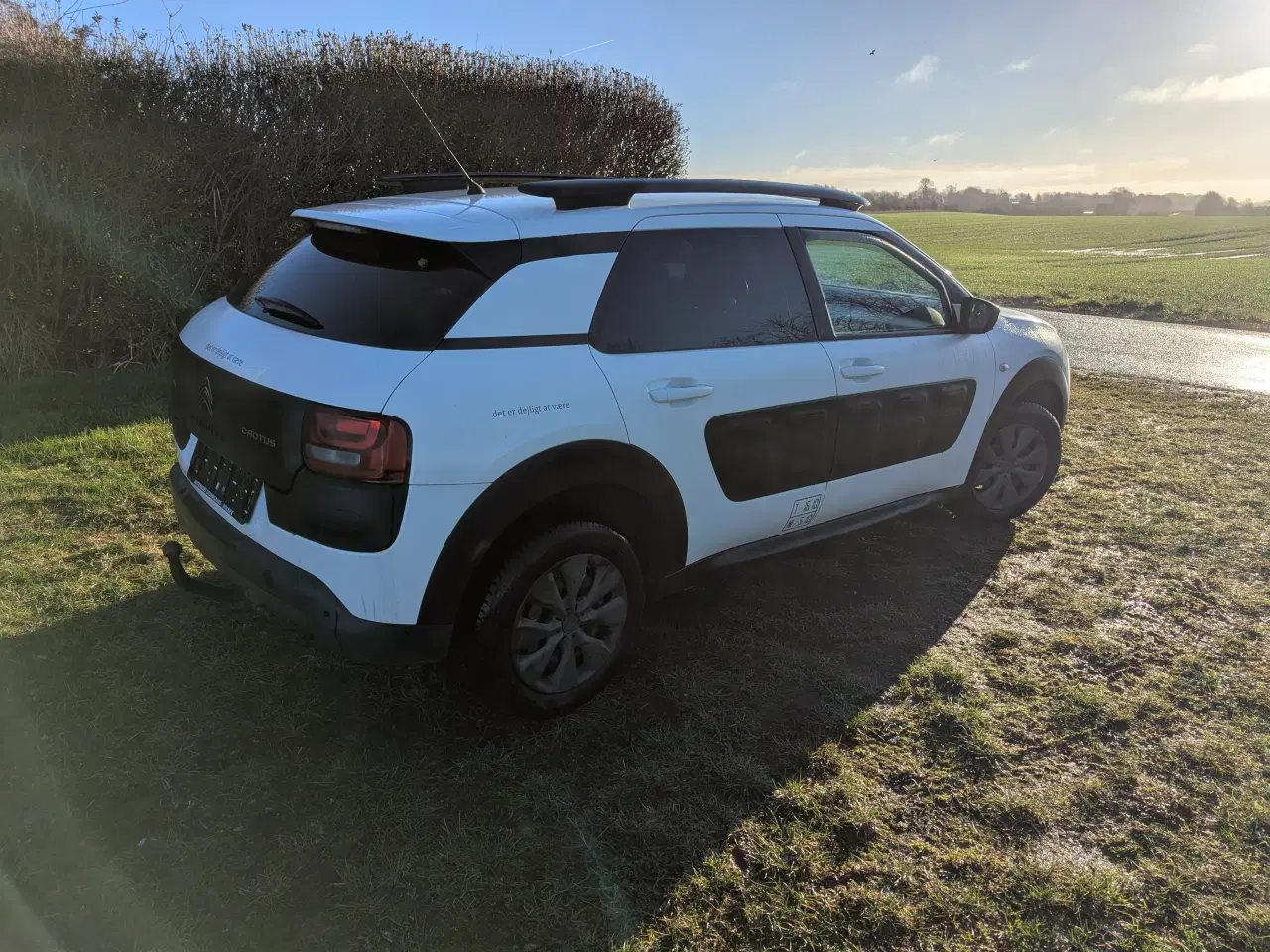 Billede 3 - Citroën Cactus Van