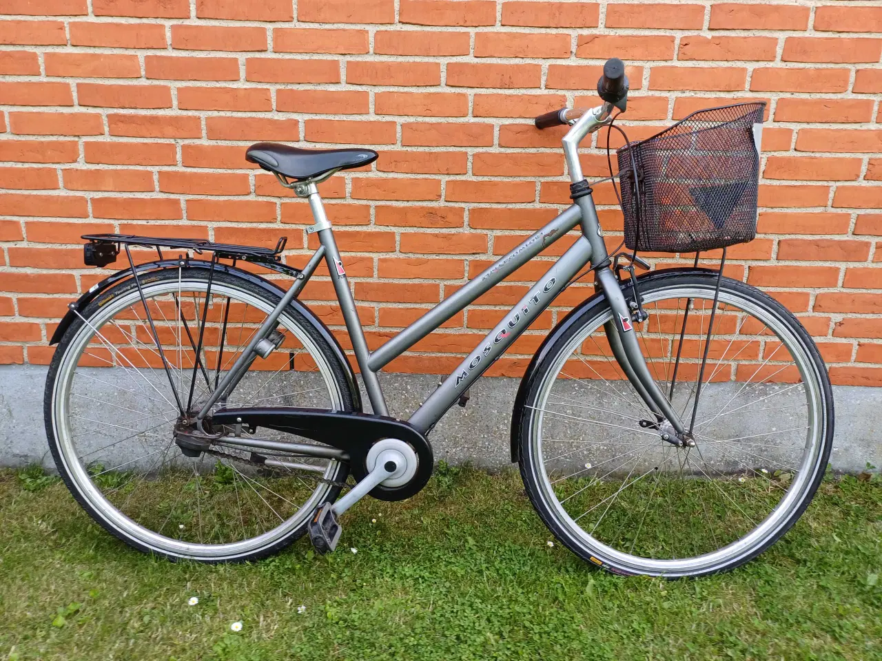 Billede 1 - Mosquito Street 